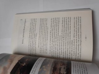 Annus mirabilis la reconquista de Salvador de B...