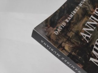 Annus mirabilis la reconquista de Salvador de B...