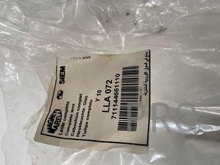 Tulipa Lancia y 10 LLA072 nuevo
