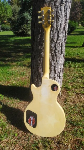 Gibson Les Paul Studio 2005 diapasón ebano