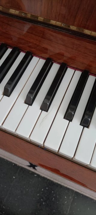 Piano Vertical Cherny