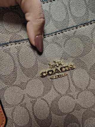Bolso Tote Coach Grande Marrón