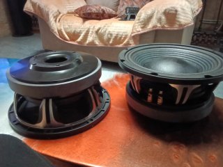 Altavoces negros y plateados De10" de 500w RMS pro