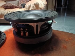 Altavoces negros y plateados De10" de 500w RMS pro