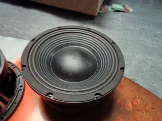 Altavoces negros y plateados De10" de 500w RMS pro