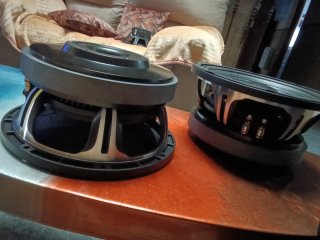 Altavoces negros y plateados De10" de 500w RMS pro