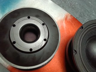 Altavoces negros y plateados De10" de 500w RMS pro
