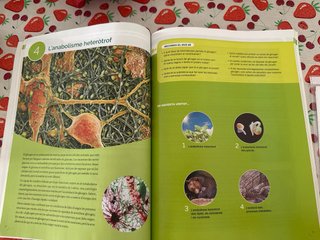 2BTO INICIO BIOLOGIA CM CATAL ED23