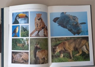 Argentina. Libro de la oficina de turismo