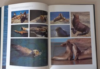 Argentina. Libro de la oficina de turismo