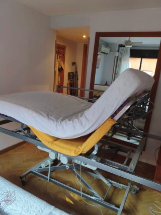 Cama Ortopédica Articulada Elevable Eléctrica