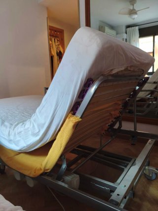 Cama Ortopédica Articulada Elevable Eléctrica