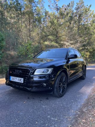 Audi SQ5 2015