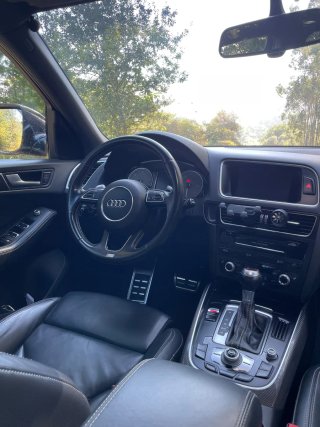 Audi SQ5 2015