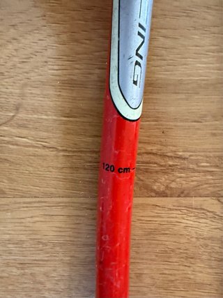 Bastones de Esquí Leki Racing GS 120cm