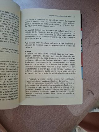 Un cachorro en casa ¡No hay tiempo que perder!
