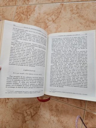 El Ingenioso hidalgo don Quijote de la Mancha