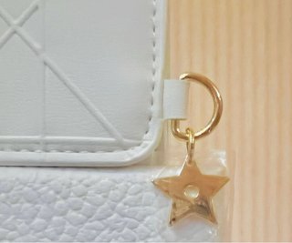 DIOR JOYERO