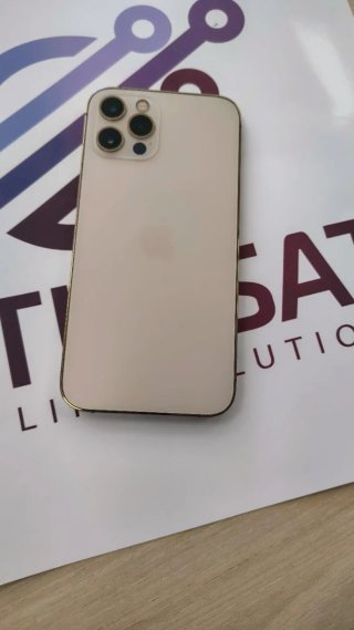 iPhone 12 Pro 256GB Gold leer bien decripcion