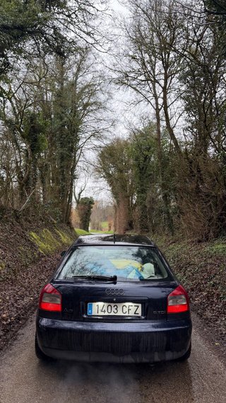 Audi A3 2003 1.9TDI ASZ