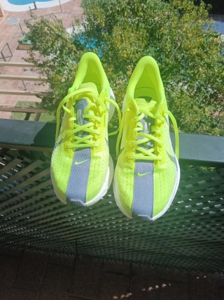 Zapatillas Nike Pegasus Plus