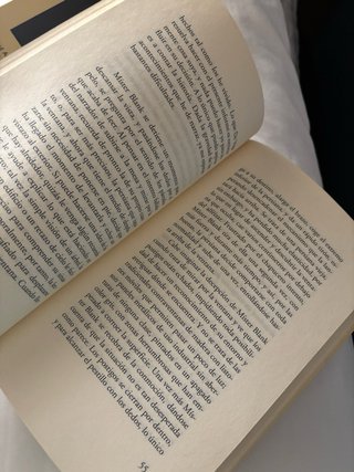 Viajes por el scriptorium