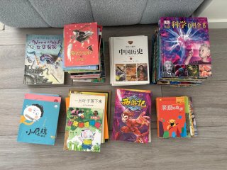 Libros chinos para niños lote