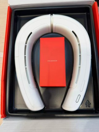 Ranvoo AICE LITE 2024