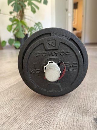 Mancuerna Domyos 10kg (Barra + Discos)