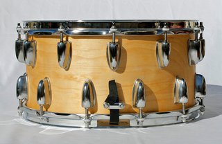 Caja de 14" con casco de abedul y 24 bellotas
