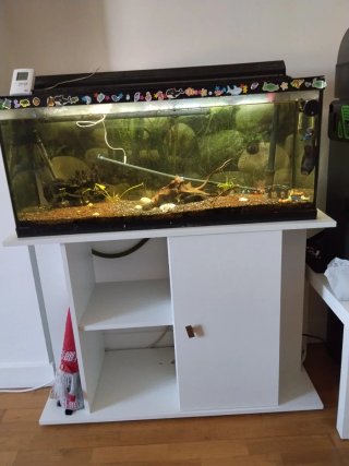 Acuario y mueble