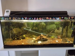 Acuario y mueble