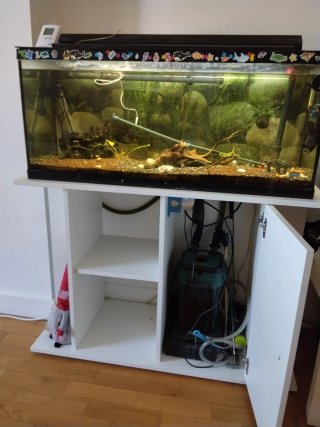 Acuario y mueble