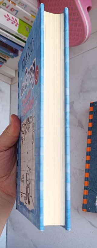 Diario de Greg 15. Tocado y hundido