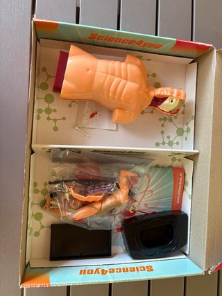 El cos humà