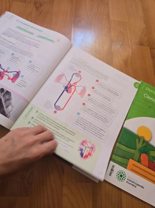 Ciencias de la Naturaleza, 6 Primaria, Proyecto...