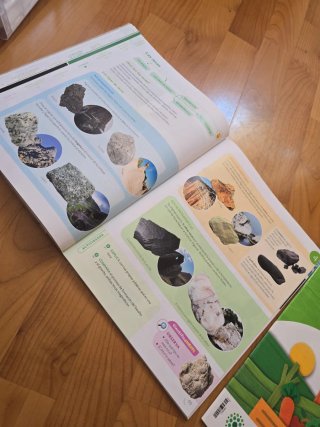 Ciencias de la Naturaleza, 6 Primaria, Proyecto...