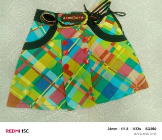 Falda retro multicolor