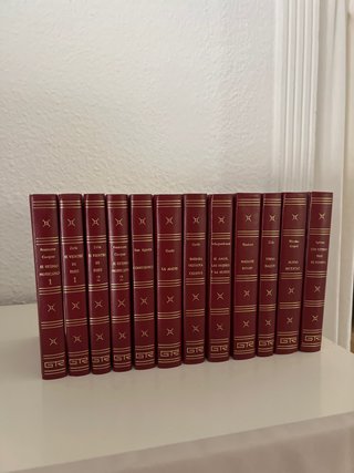 Lote 12 libros clásicos literatura universal GTR