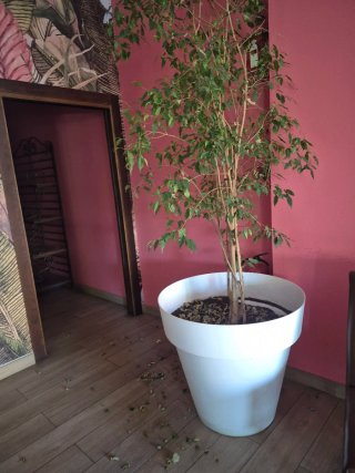 Sofá Modular Marrón 4 Piezas
