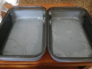 Dos areneros para gato pequeño
