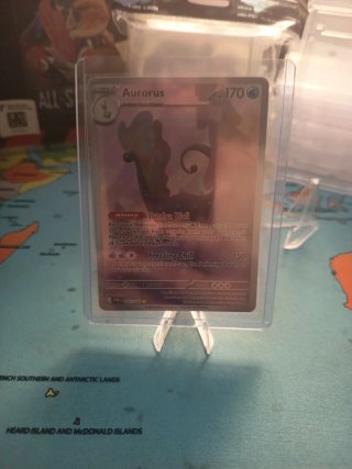 Liquidación de protectores de cartas