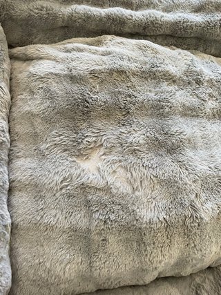 Cama para Perros/gatos