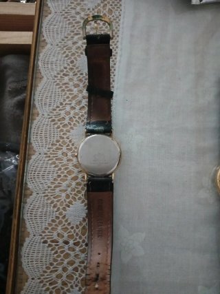 Reloj Festina Caballero Correa Cuero Marrón