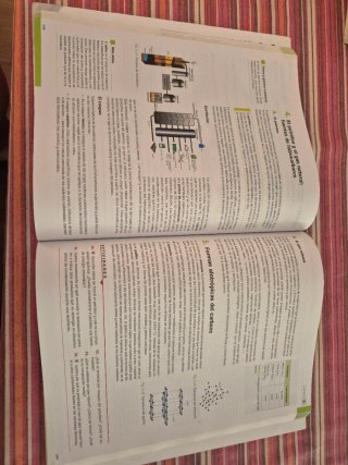 Física y Química 1 Bachillerato