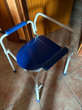 Comoda WC con braccioli