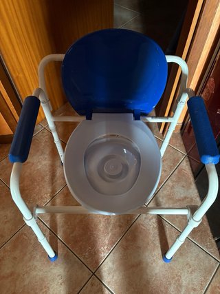 Comoda WC con braccioli