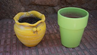 Maceteros Cerámica Amarillo y Verde