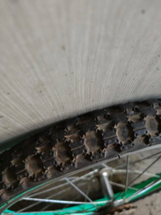 Rueda Trasera de Bicicleta 18