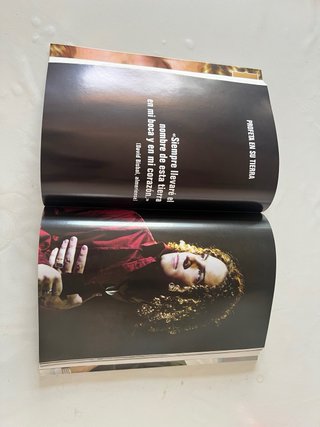 David Bisbal, increíble